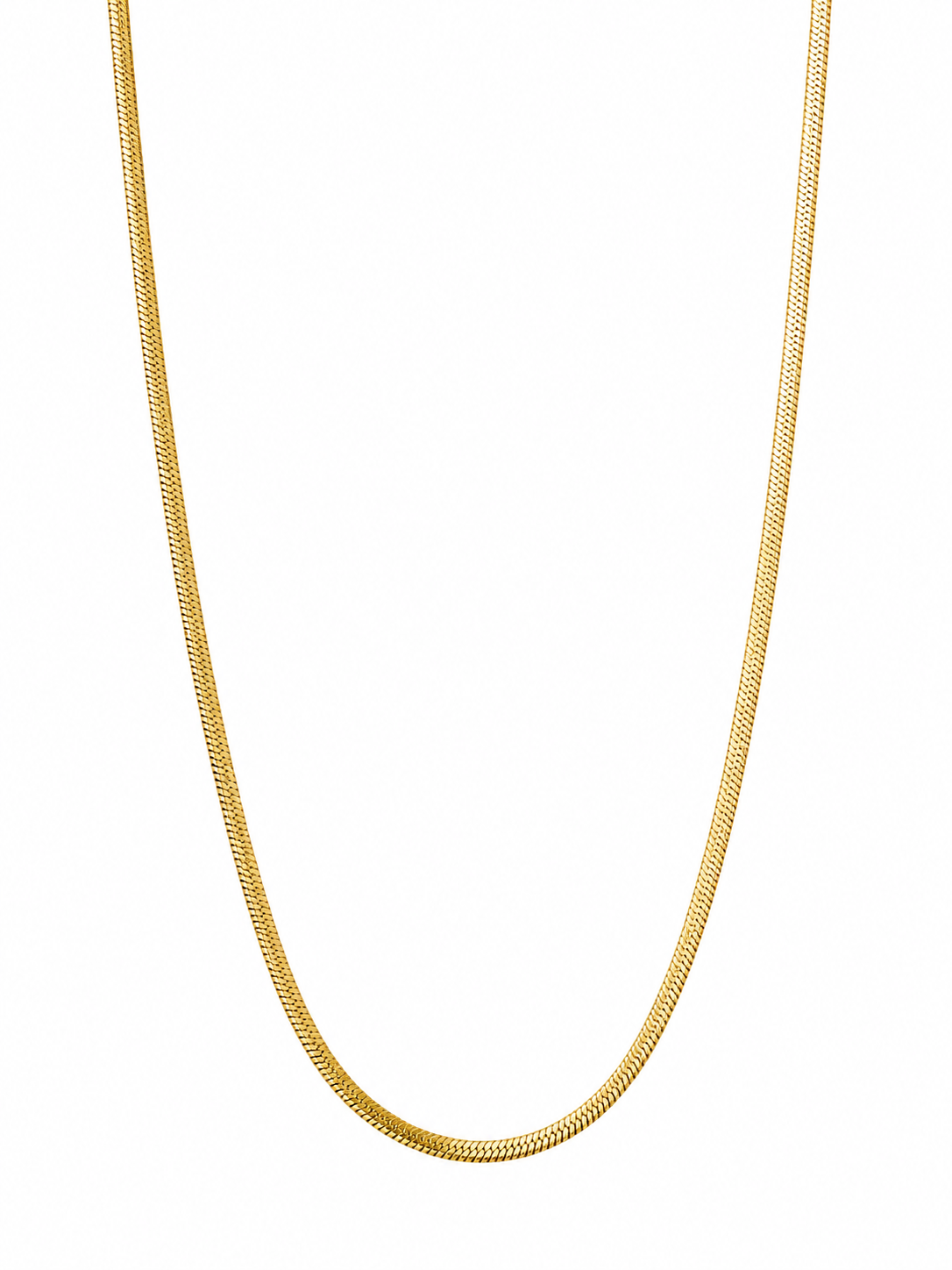 Demi Fine Everyday Gold Chain Necklace