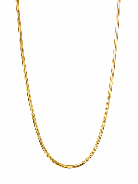 Demi Fine Everyday Gold Chain Necklace