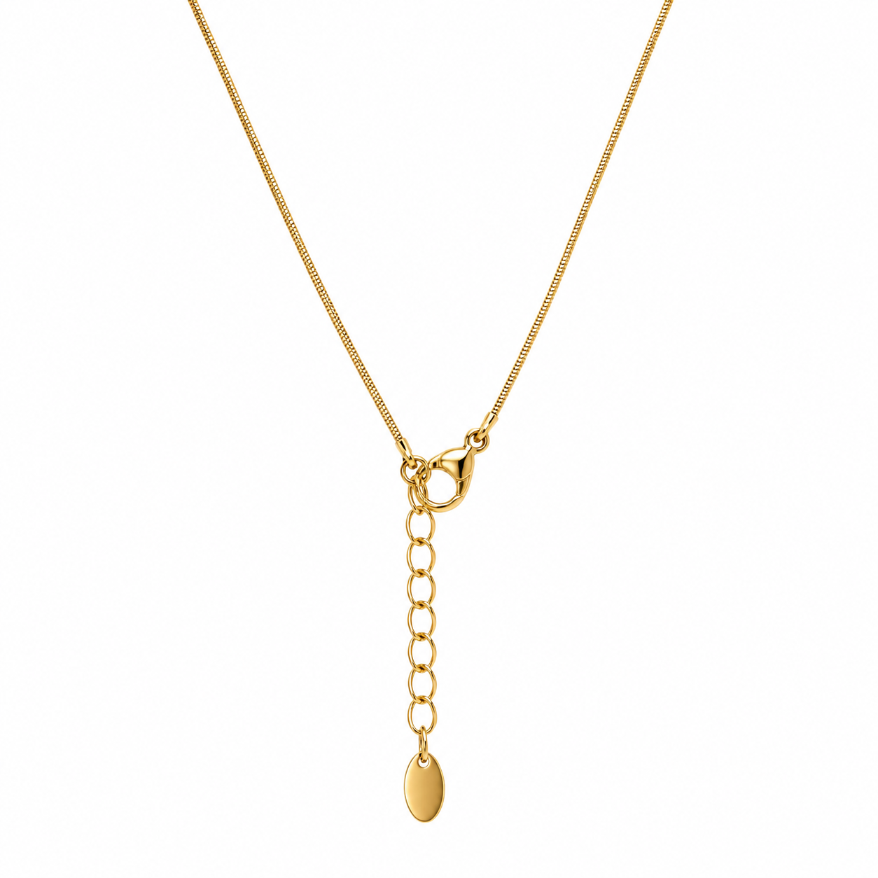 Demi Fine Lucky Fish Charm Necklace