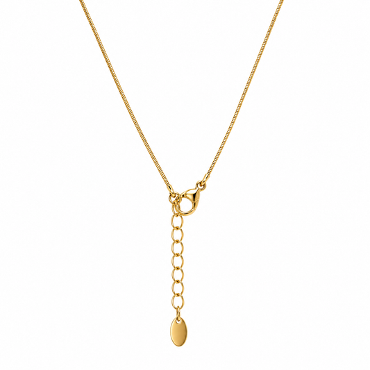Demi Fine Lucky Fish Charm Necklace