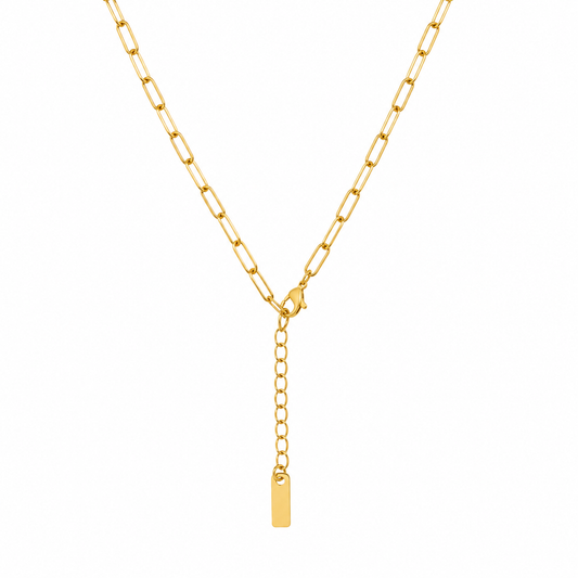 Demi Fine Ocean Charm Gold-Tone Necklace