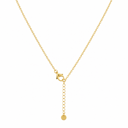 Demi Fine Golden Fishbone Necklace