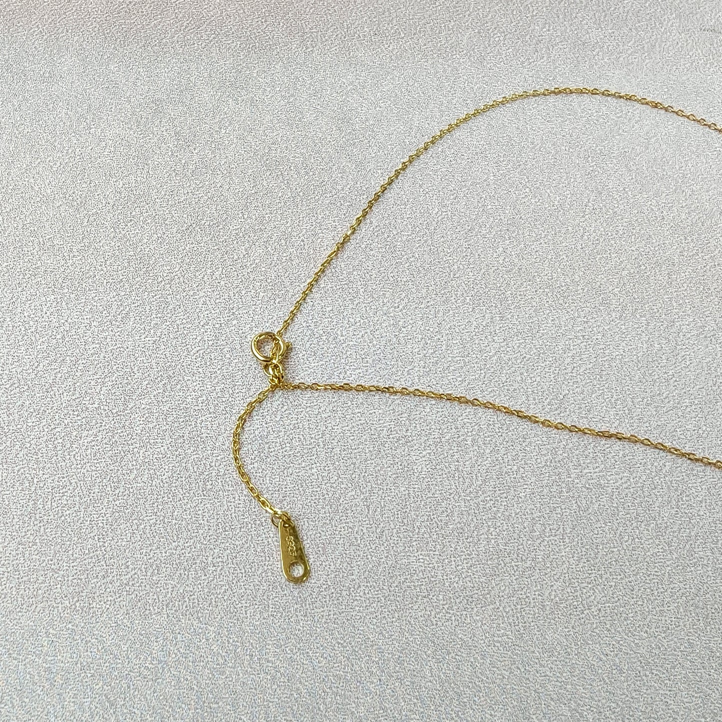 Cute Turtle Ruby Good Luck Gold Pendant